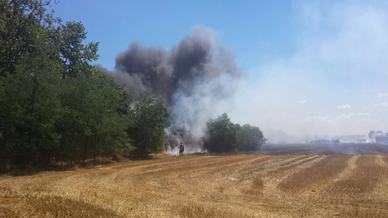 Incendio di sterpaglie a San Giuliano Nuovo