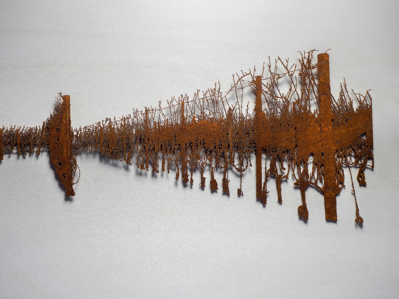 Mostra di sculture e fotografie dedicate ai paesaggi vitivinicoli di Langhe-Roero-Monferrato