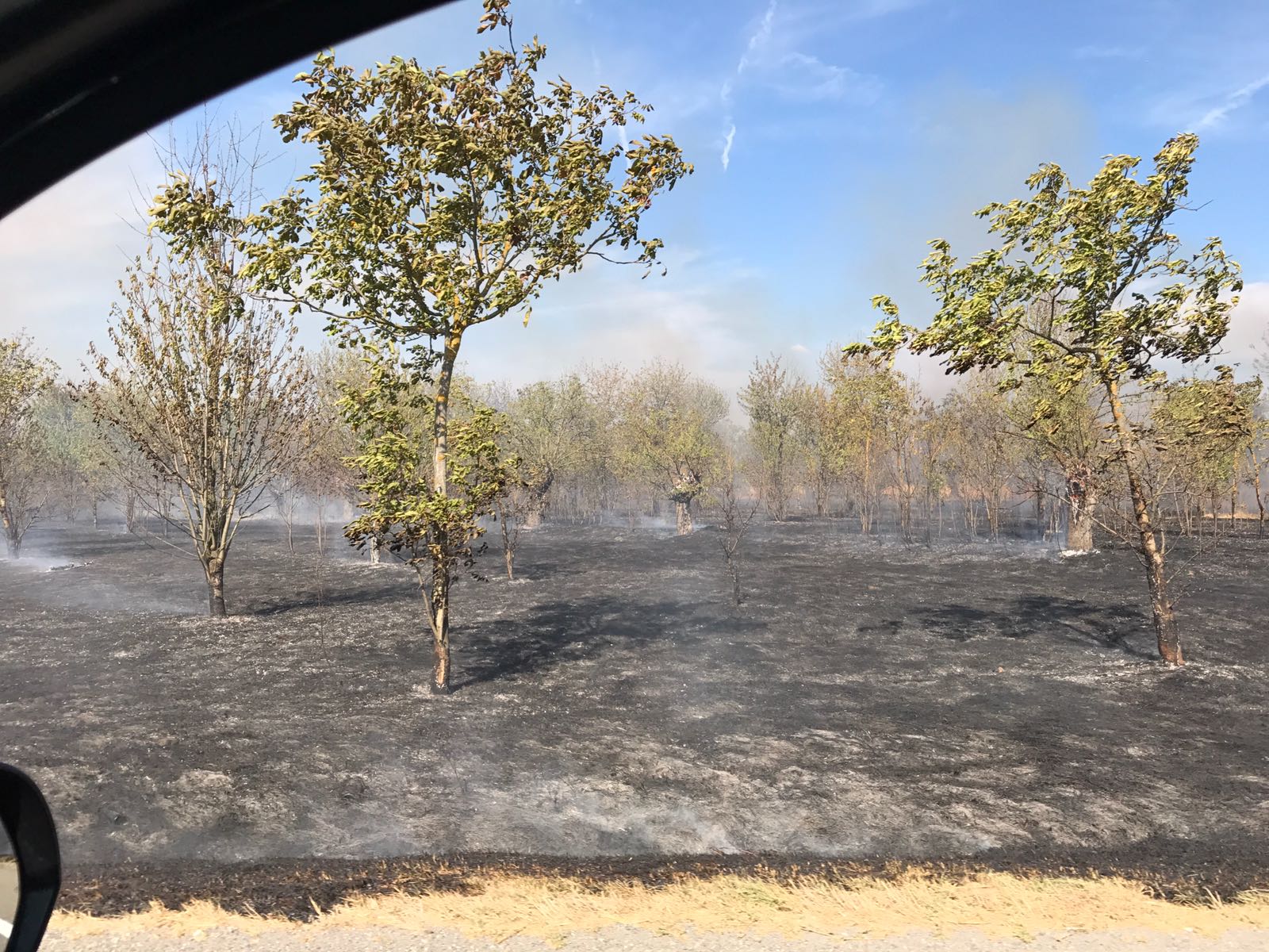 Incendi di sterpaglie tra Pozzolo e Litta Parodi
