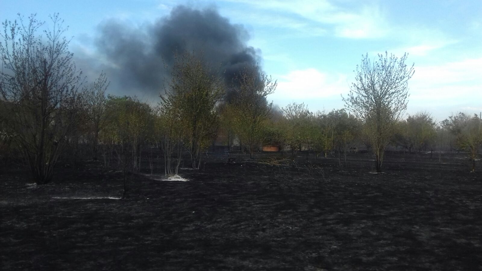 Fiamme nei campi a Pozzolo, Litta e Vignole Borbera
