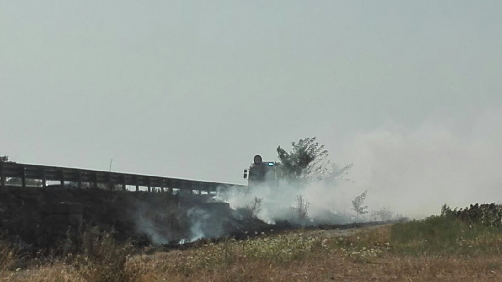 Il fuoco divora i campi della provincia