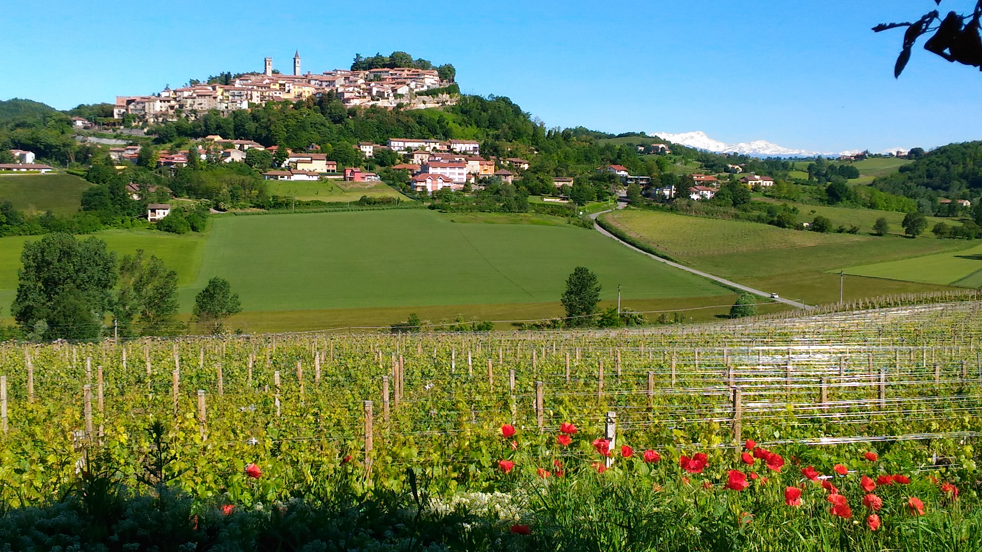 “Grignolino Sotto Le Stelle” a Rosignano Monferrato