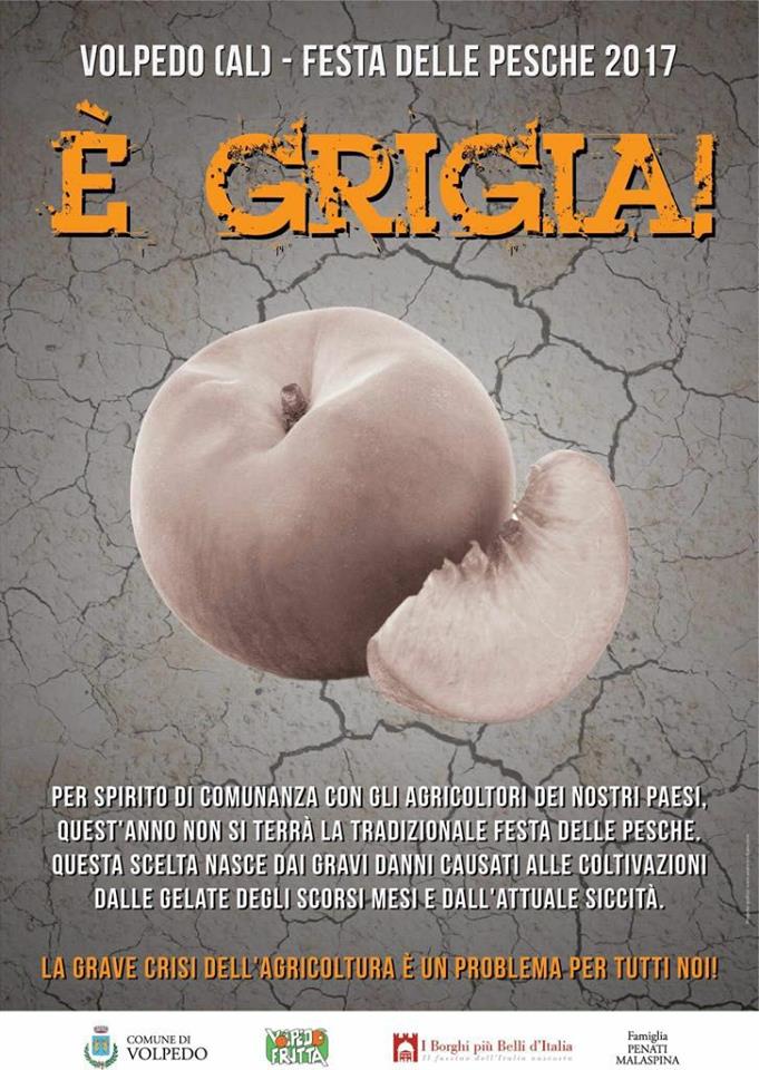 Le pesche divorate da gelo e siccità: Volpedo è in lutto