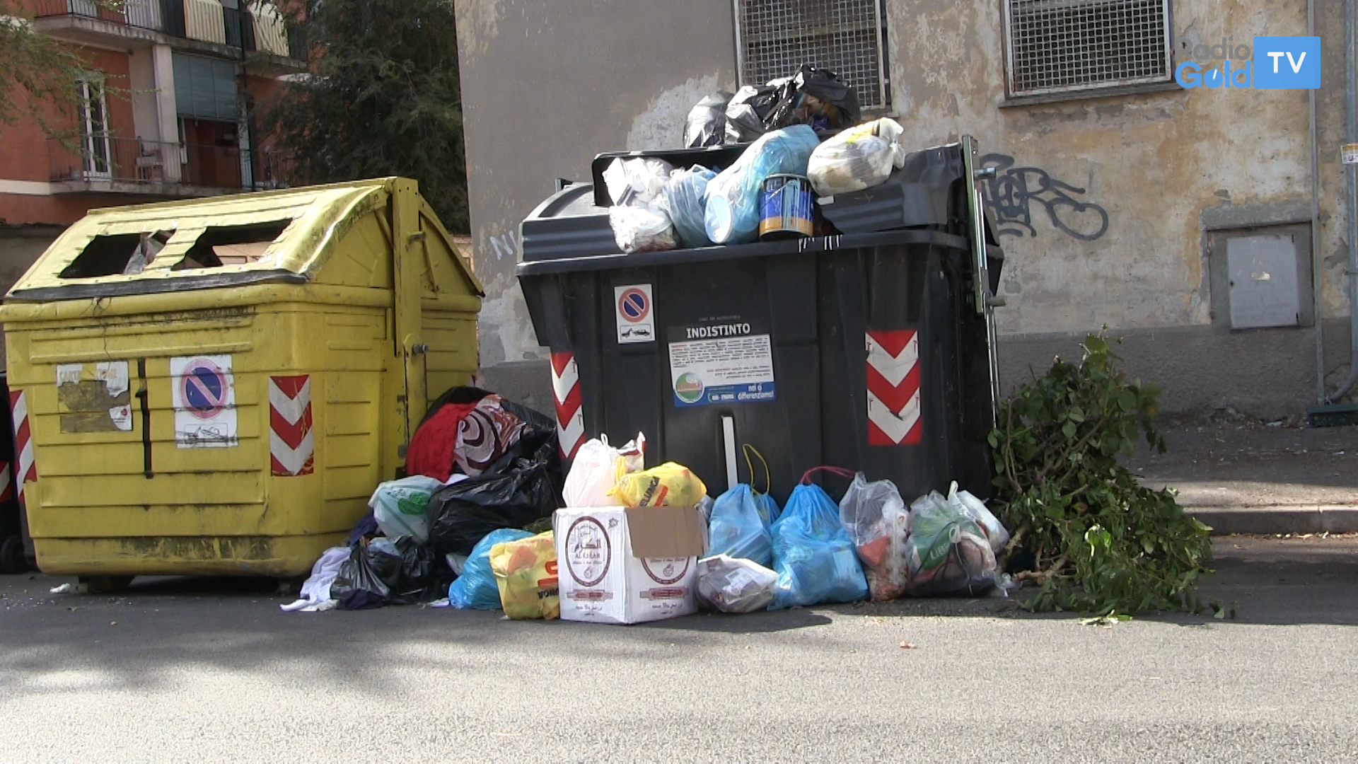 Cassonetti strapieni al Quartiere Cristo. Amag Ambiente: “Puliamo subito”
