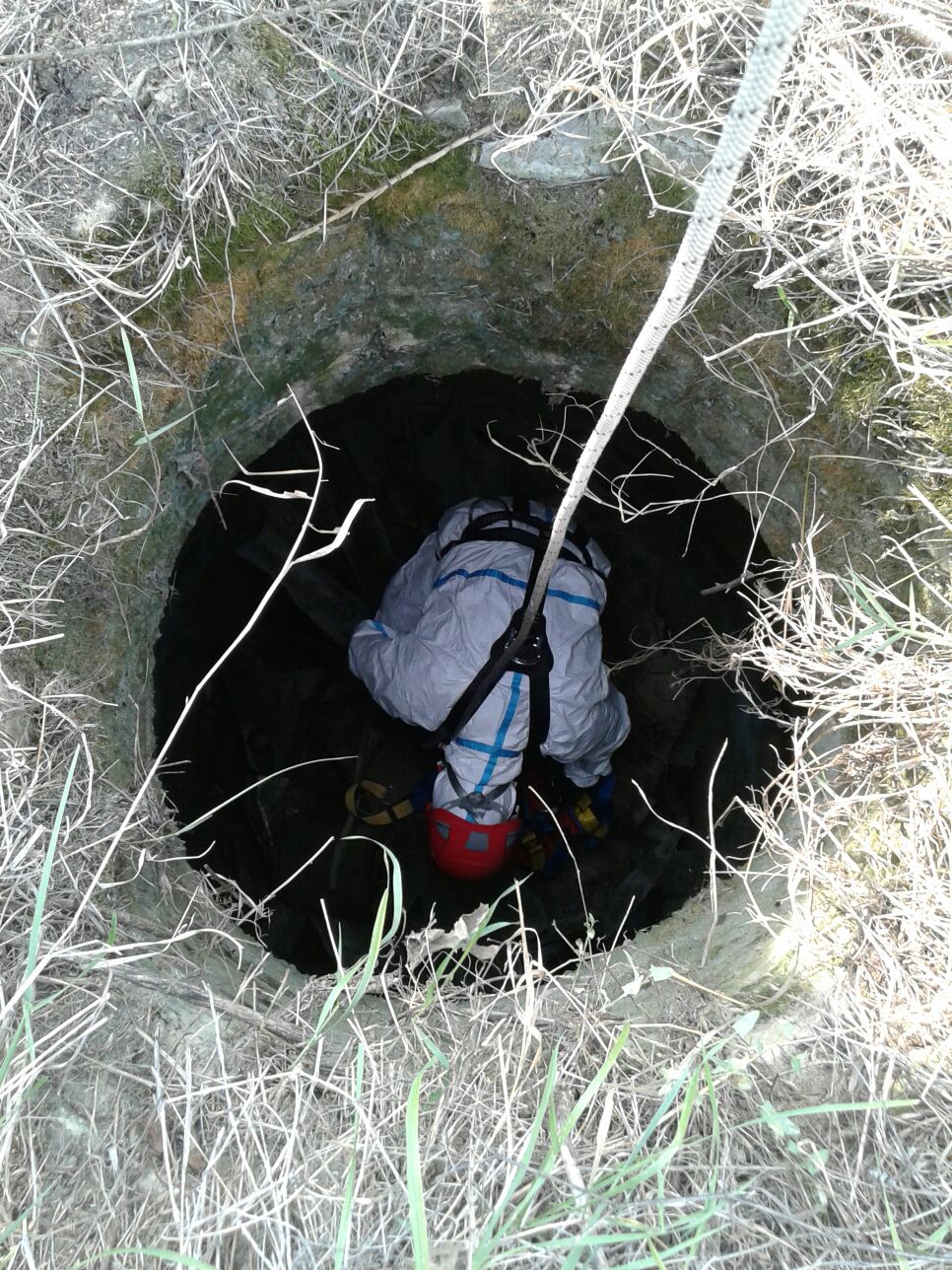 Cane precipita in un pozzo: salvato dai Vigili del Fuoco