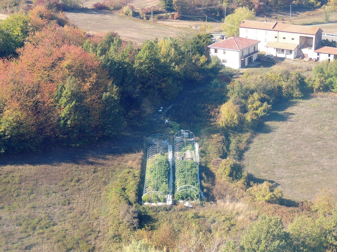 A Cavatore una piantagione di marijuana e un laboratorio per lavorarla
