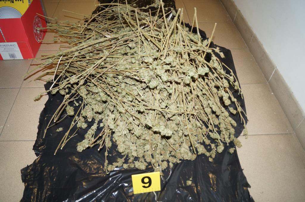 Colpo allo spaccio nell’acquese: recuperati 3,5 chili di marijuana
