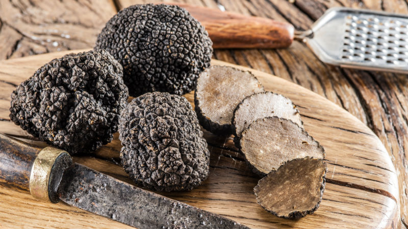 Il tartufo profuma la domenica in provincia