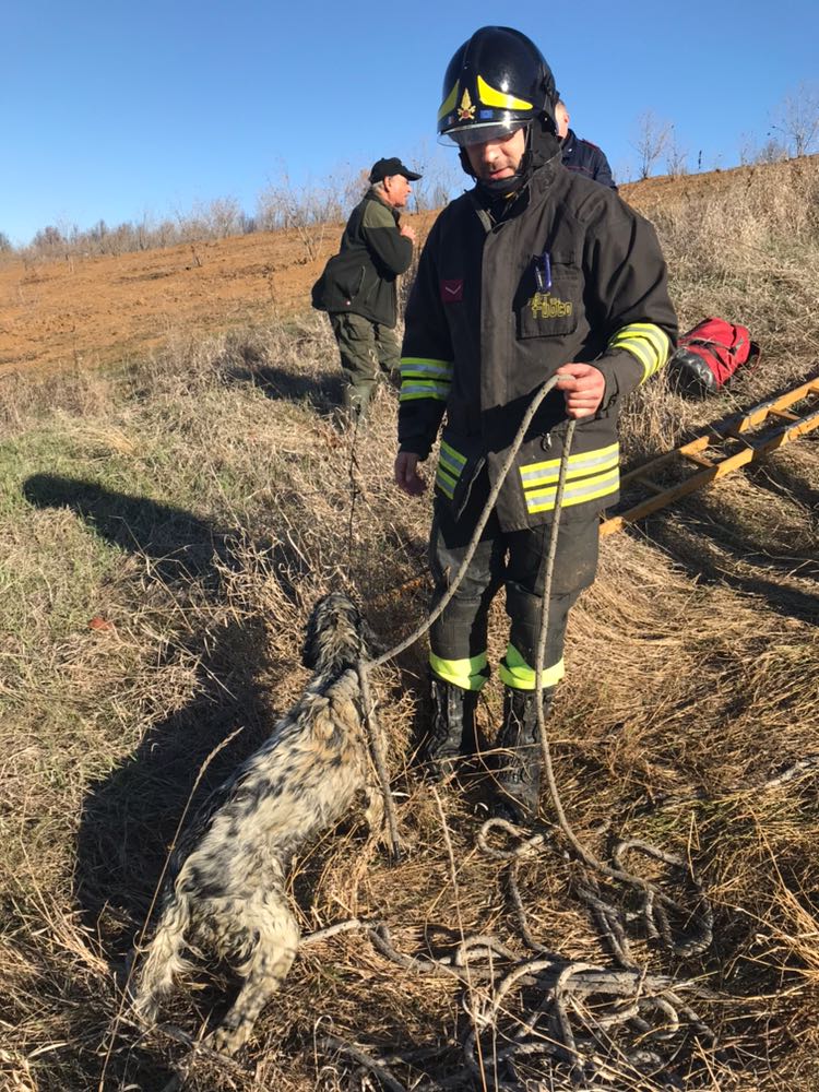 Cane cade nel pozzo: recuperato dai Vigili del Fuoco
