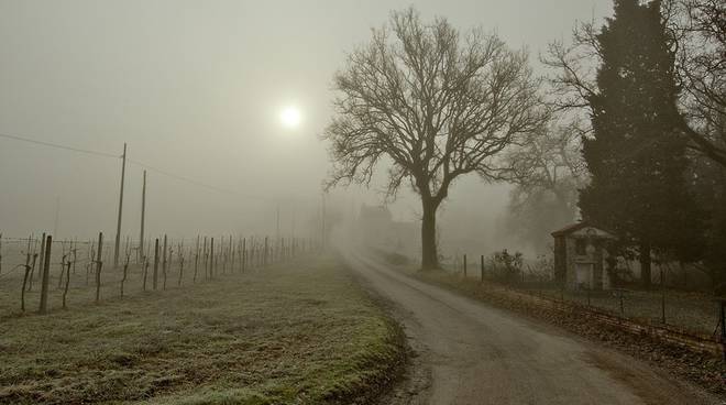 Sull’Alessandrino nebbie fino a vigilia Natale poi torna il freddo