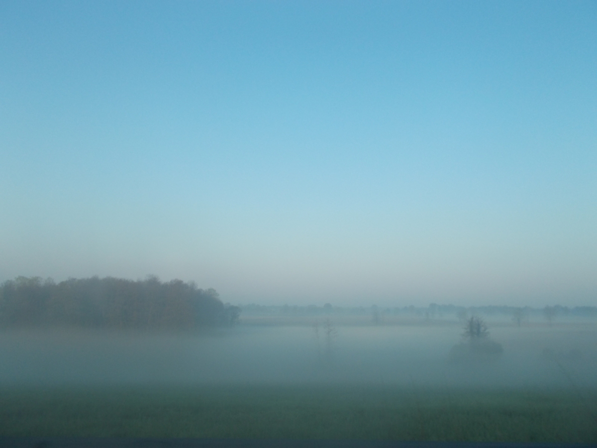 Nebbia giallognola quest’oggi ad Alessandria: colpa della sabbia del Sahara