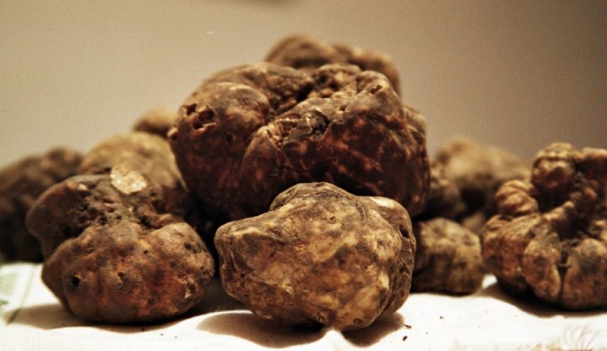 Tre giorni ad Asti dedicati al tartufo