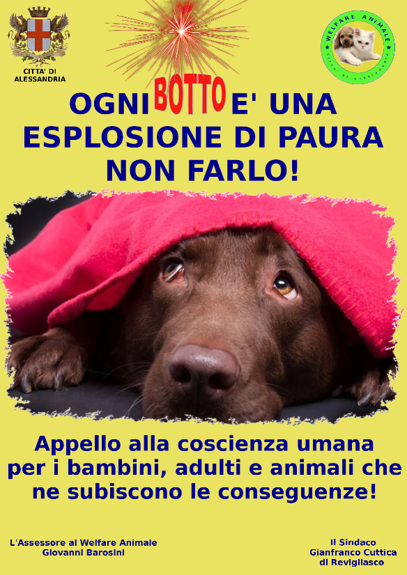Il Comune di Alessandria ribadisce il no a botti e fuochi d’artificio