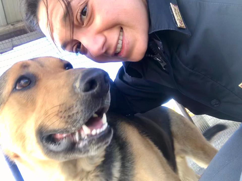 Polizia Stradale salva cane sull’A26