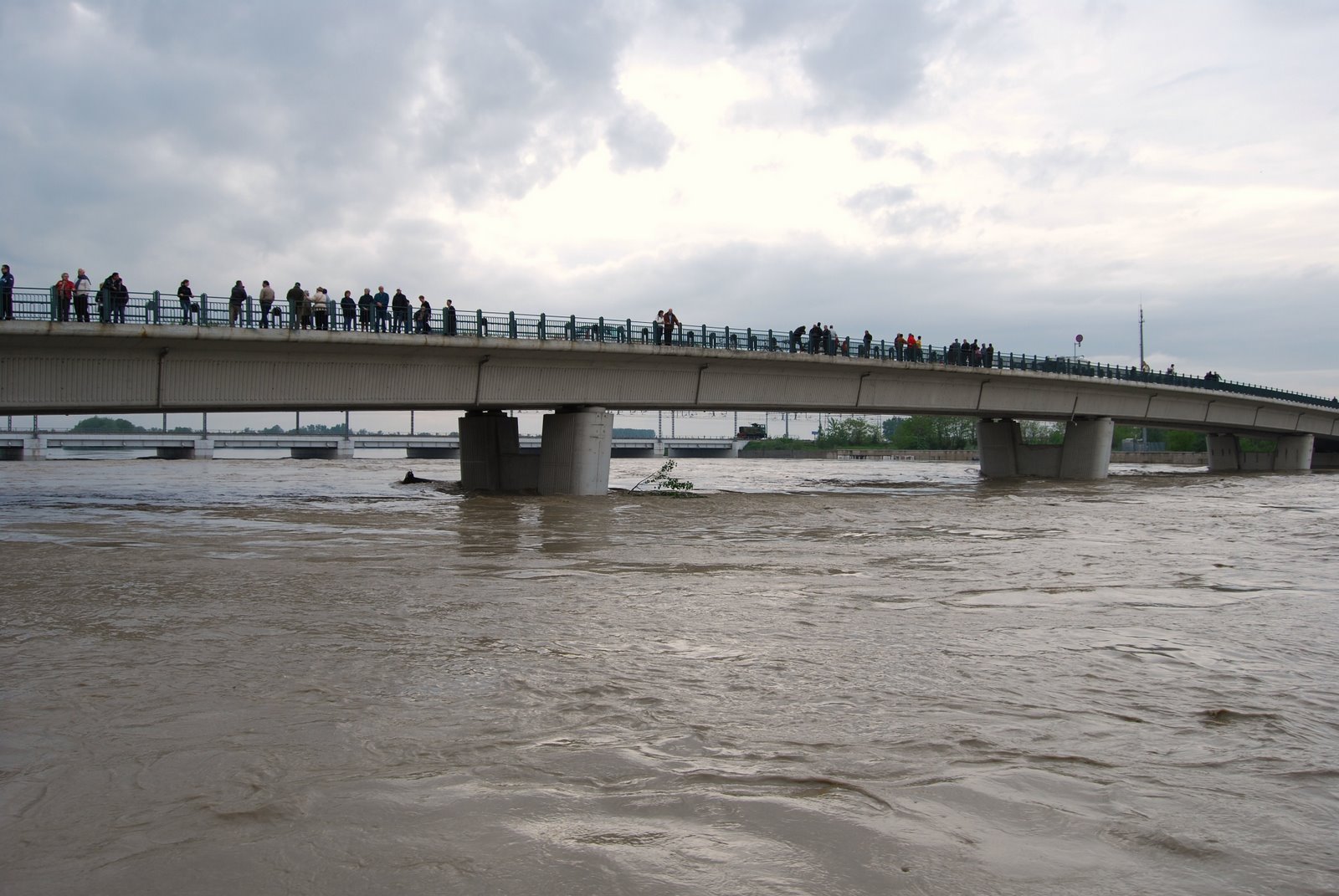 Grate blindano l’accesso all’area sotto il ponte Tiziano