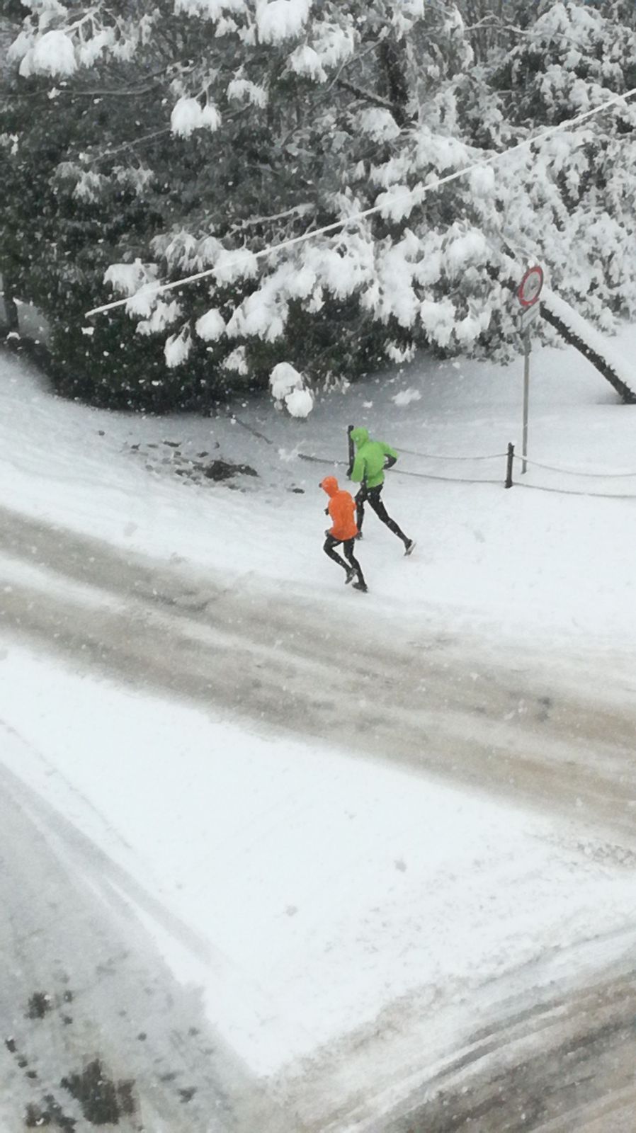 Ecco le vostro foto. Le immagini della nevicata in provincia