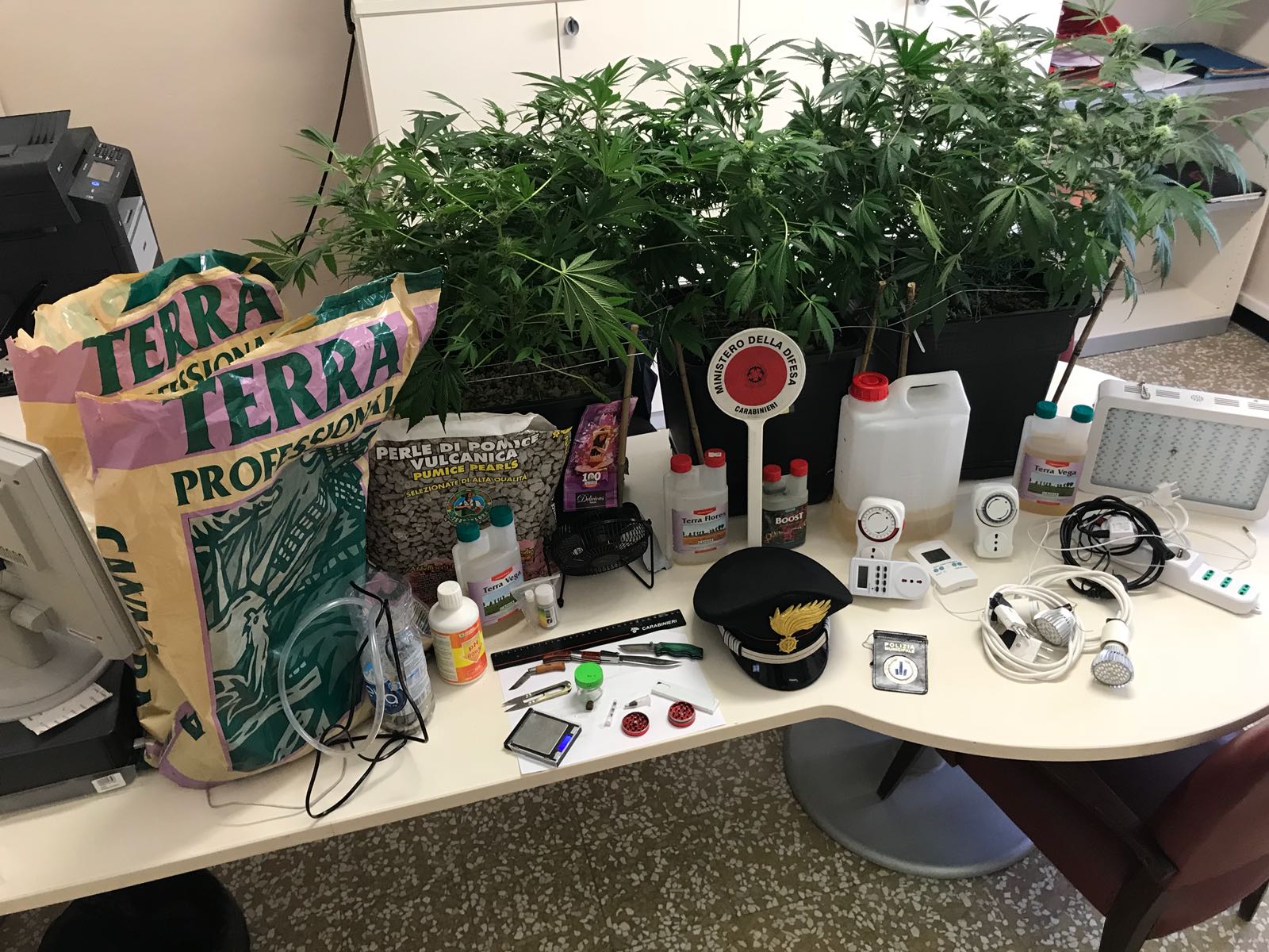 Un viavai in casa svela la coltivazione di cannabis