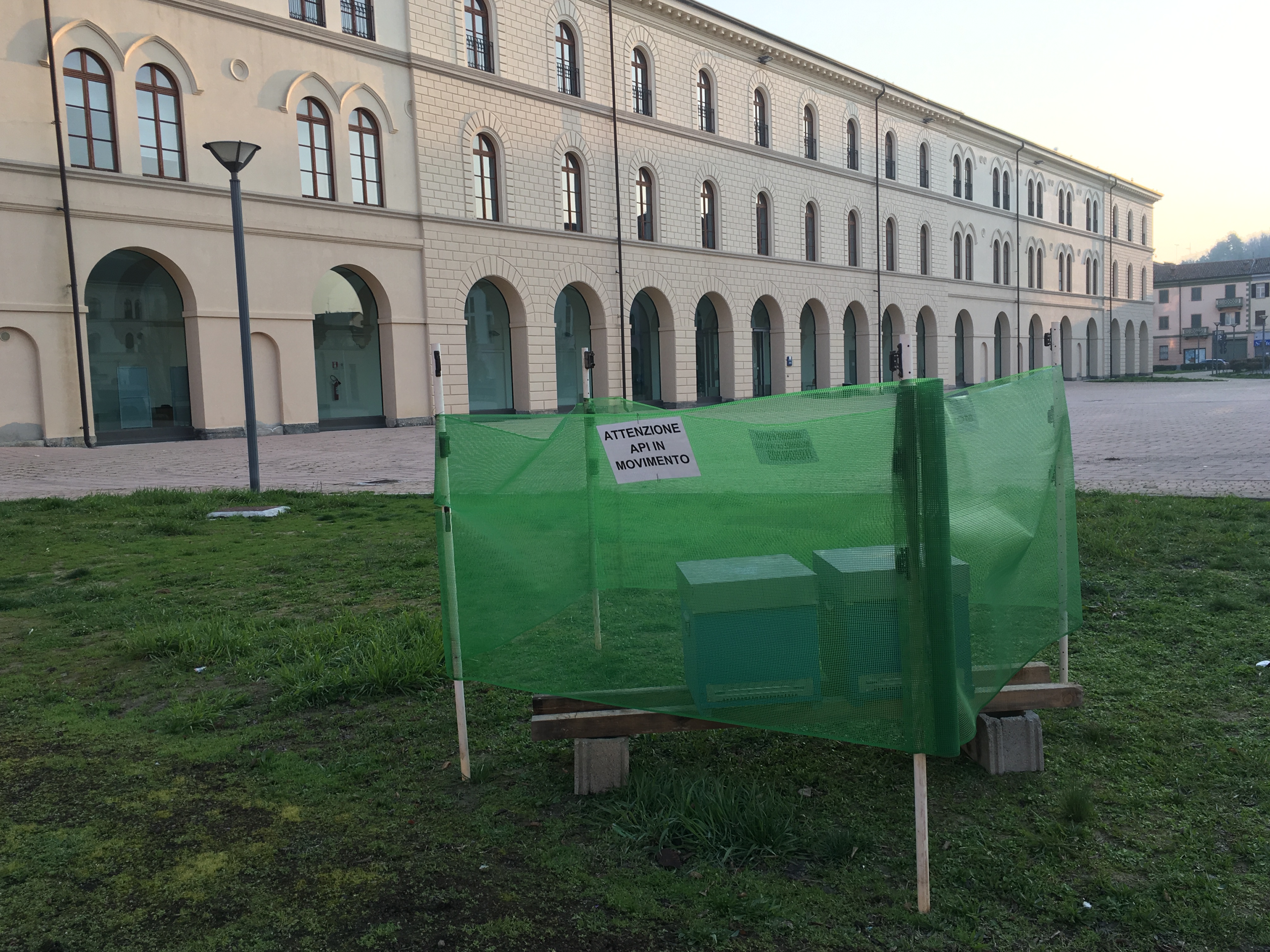 A Tortona api sentinelle dell’ambiente