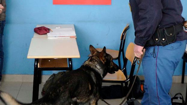Controlli antidroga con il cane Fox in una scuola di Casale