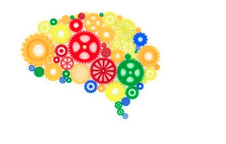 La 2^A del Liceo Amaldi di Novi in finale nazionale di problem solving