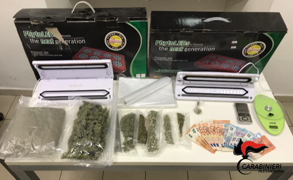Oltre mezzo chilo di marijuana in casa: in manette un alessandrino