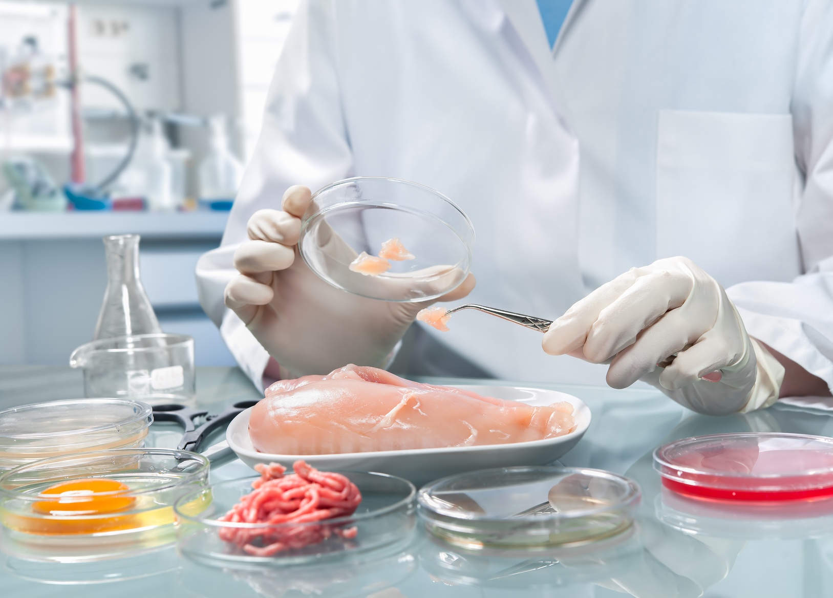 Il 7 e 8 ottobre un hackathon sulla sostenibilità alimentare