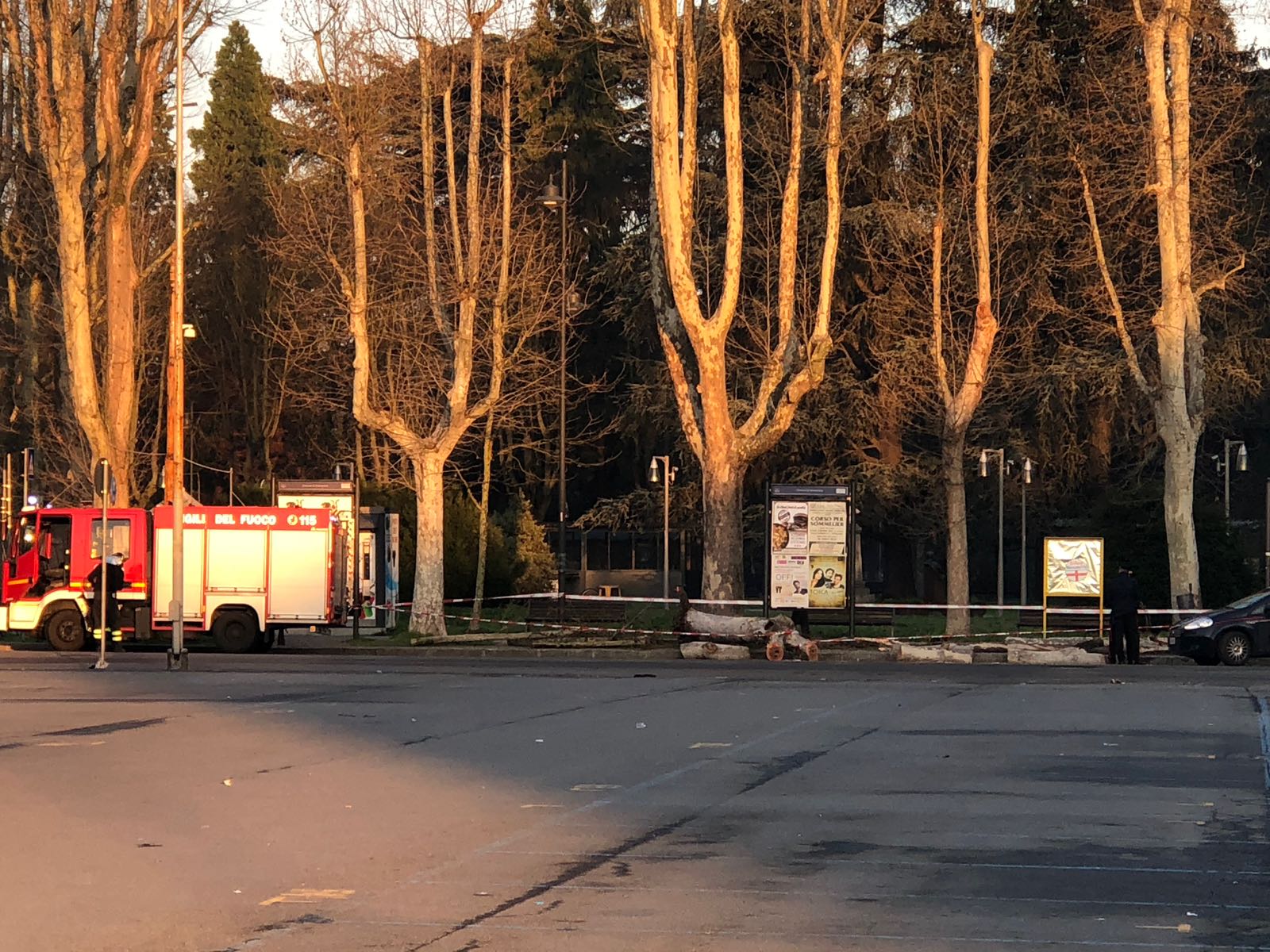 Albero cade in piazza Garibaldi ad Alessandria