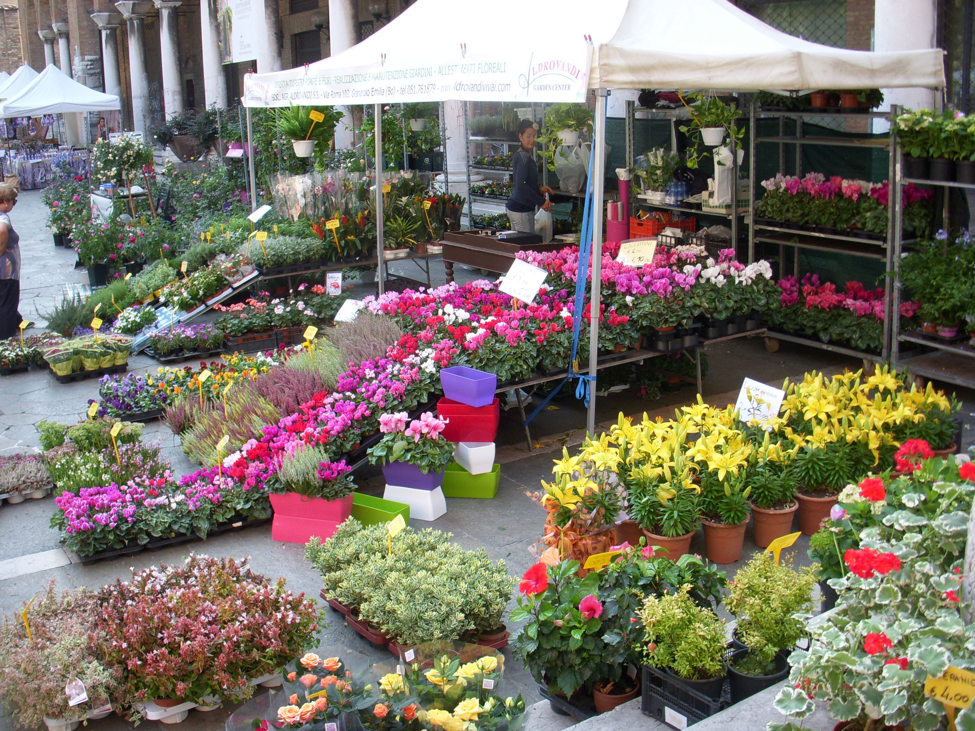Antiquariato e fiori nel fine settimana a Novi Ligure