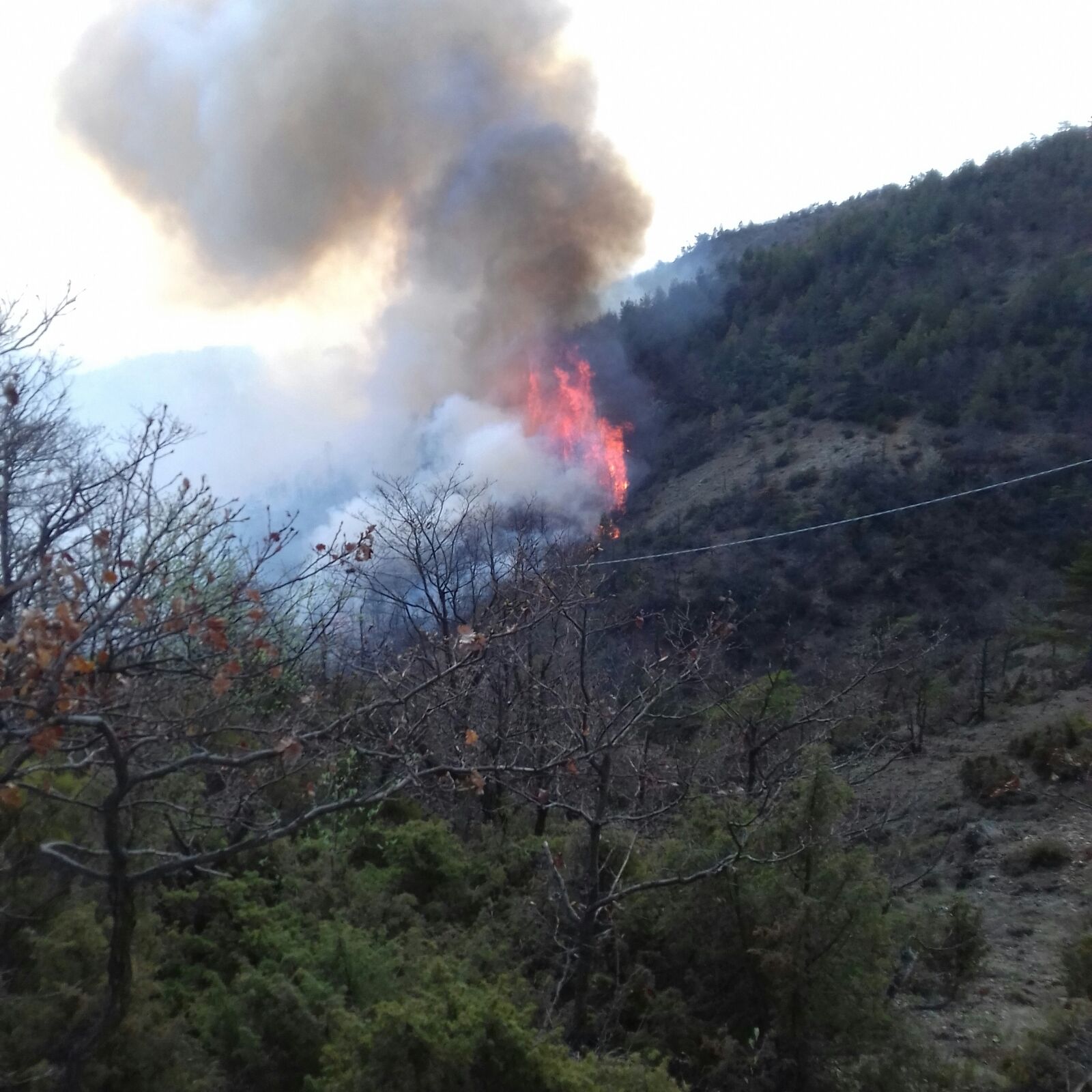 Incendio boschivo a Ponzone