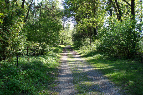 Quasi ultimata la prima fase dei lavori al “Parco Scrivia” di Tortona