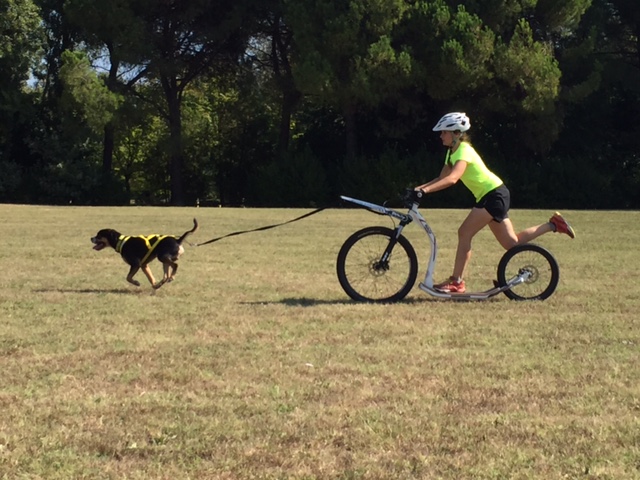 L’associazione tutela animali festeggia 30 anni in Cittadella