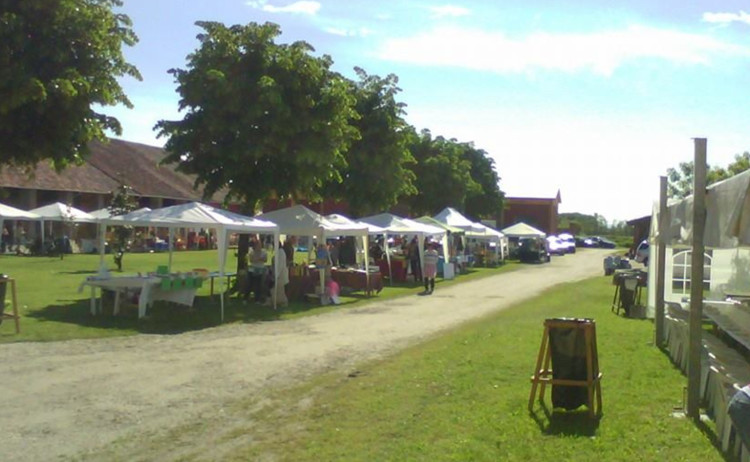 Torna la Festa in Cascina a Pieve del Cairo