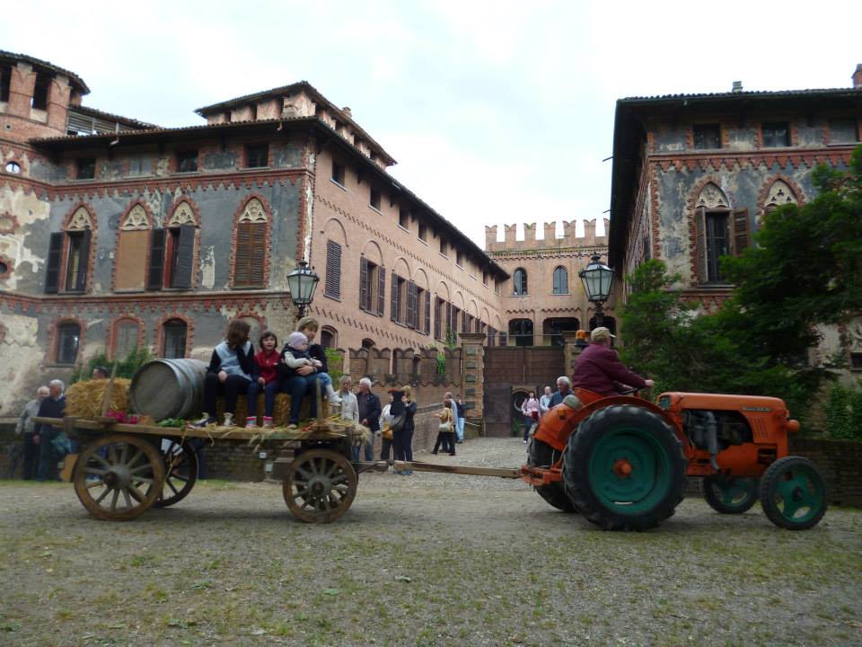 Una giornata di eventi tra cibo, fiori, illustratori e musica