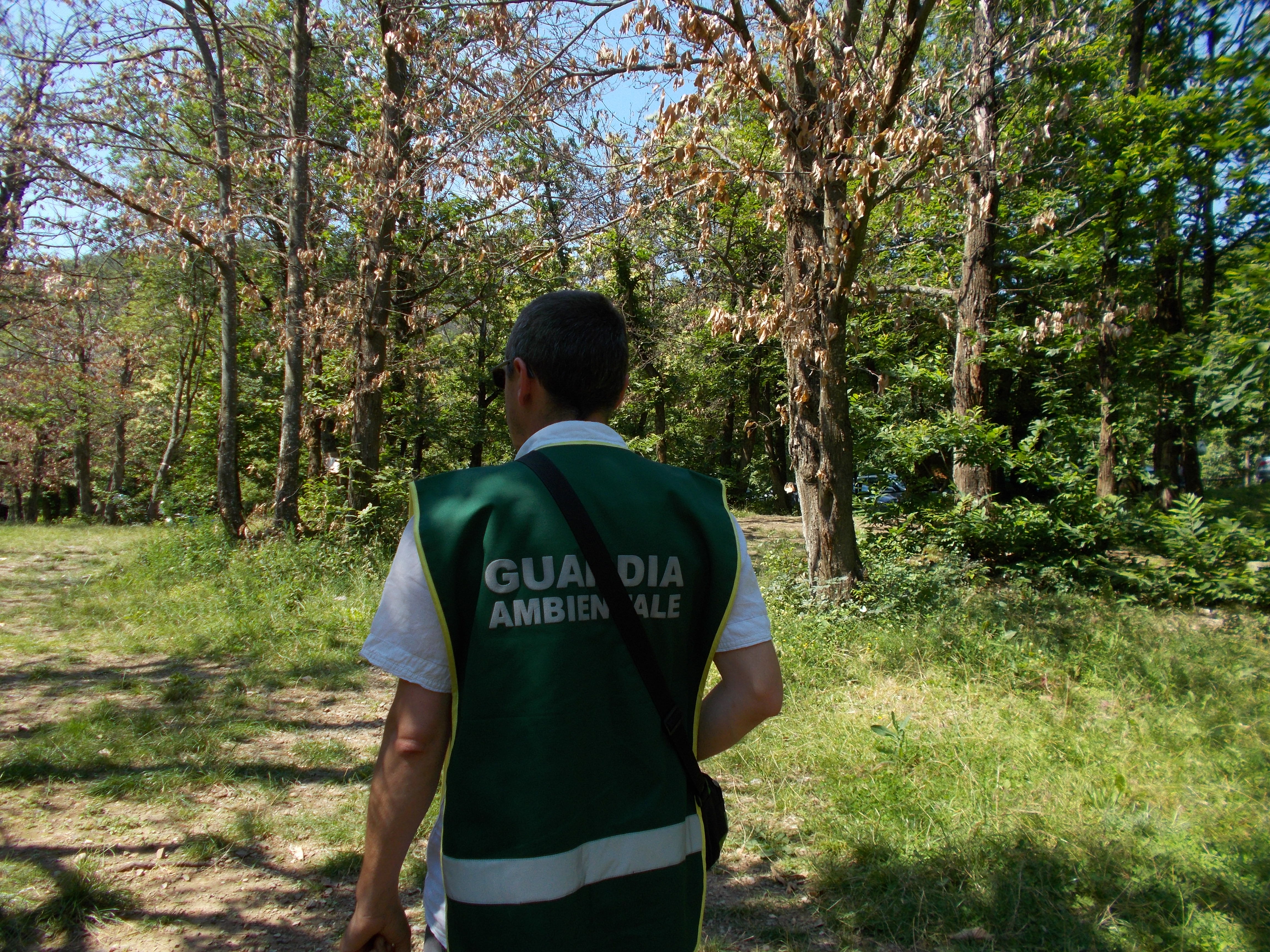 Fuochi accesi in aree vietate e rifiuti abbandonati in Val Borbera