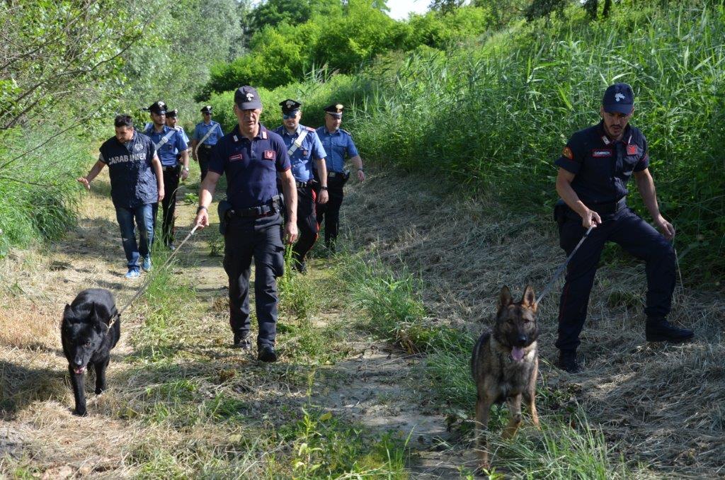 Carabinieri bloccano ingente spaccio di droga lungo lo Scrivia
