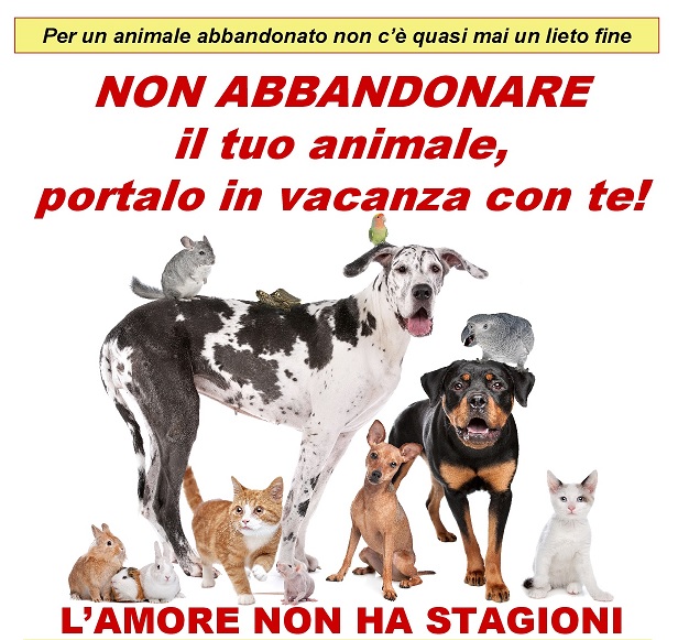 “L’amore non ha stagioni”. Tortona contro l’abbandono di animali