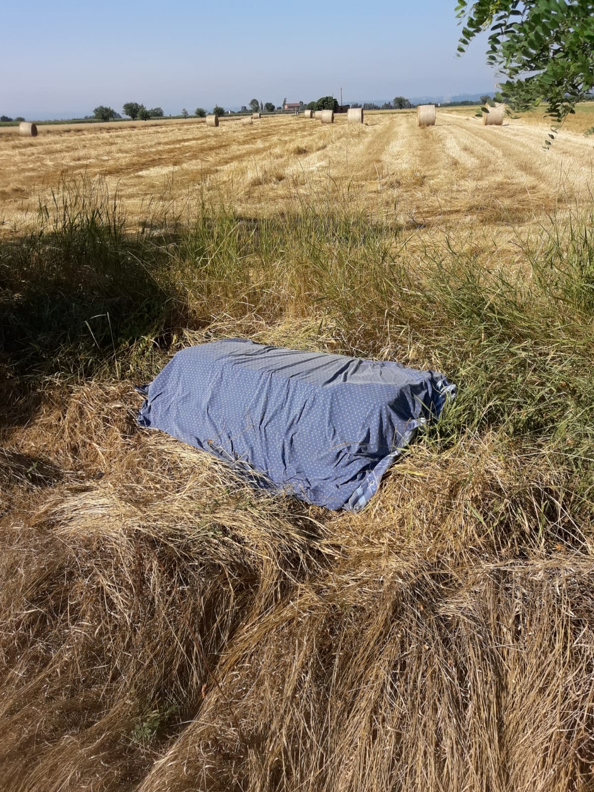Rifiuti: “Castellazzo mortificata da incivili”. Appello al sindaco