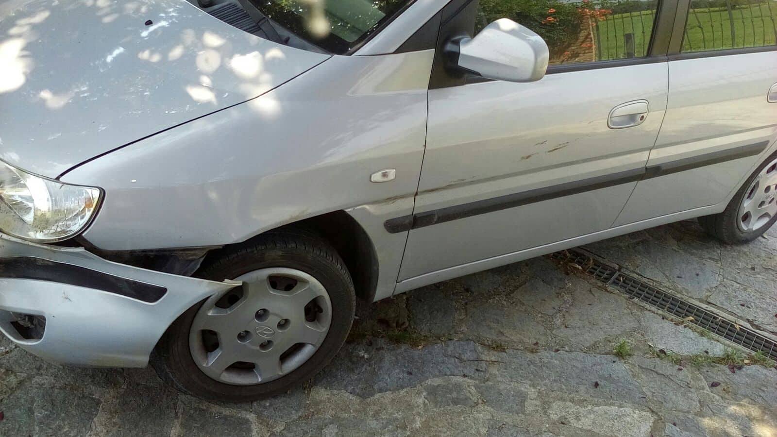 Attenzione ai cinghiali tra Valmadonna e Alessandria