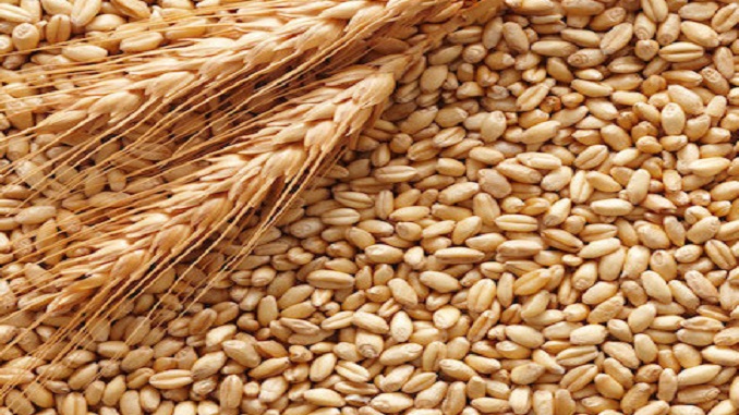 Annata positiva per le quotazioni del grano