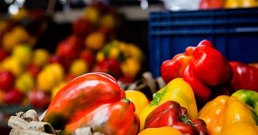 Cosa fare in provincia nel primo weekend di settembre