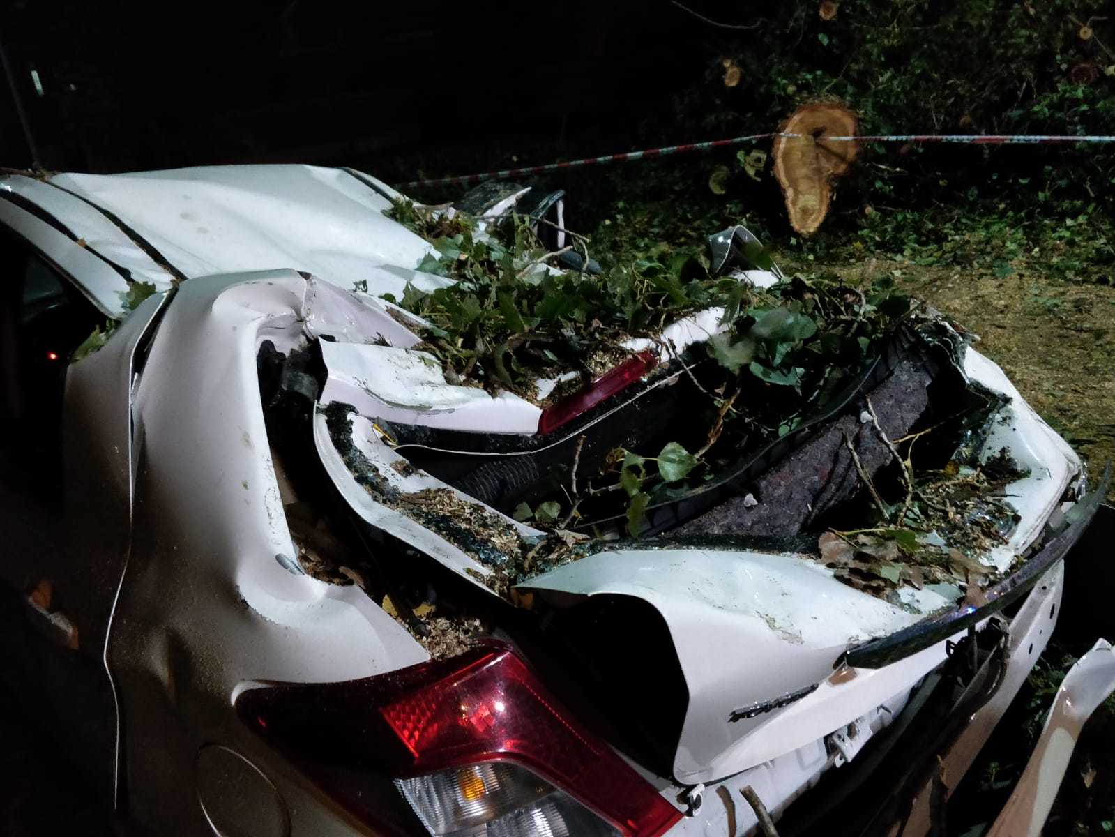 Alessandria sferzata dal vento: alberi caduti e non solo [FOTO]