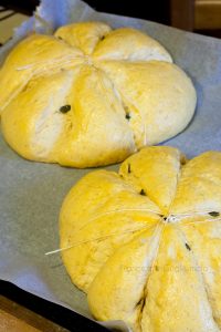 Pane di zucca