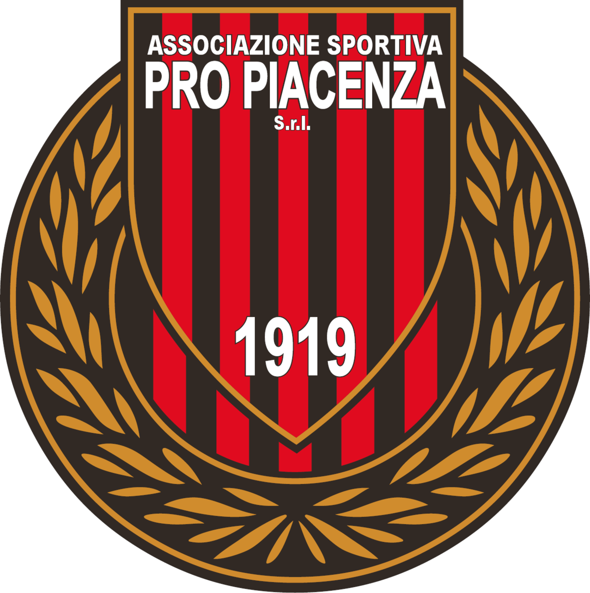 Pro Piacenza: proclamato lo sciopero dei giocatori