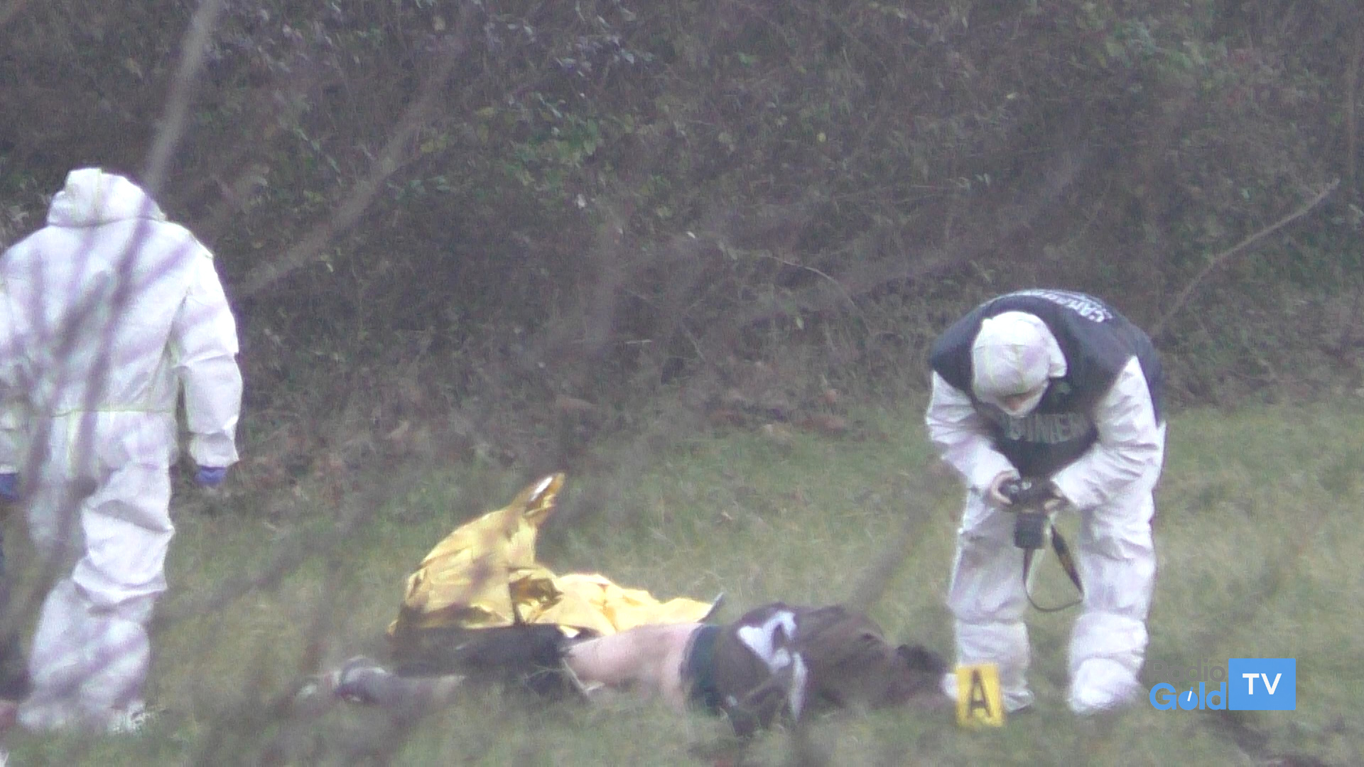 Uomo di 53 anni trovato senza vita in un campo: ipotesi omicidio