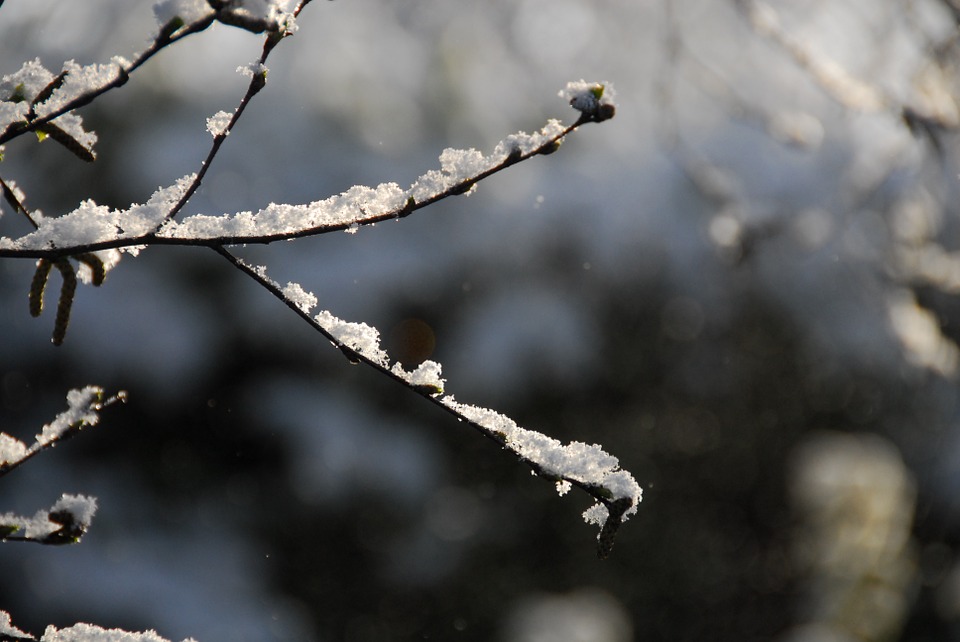 Neve fino a giovedì mattina: il bollettino sulla A21