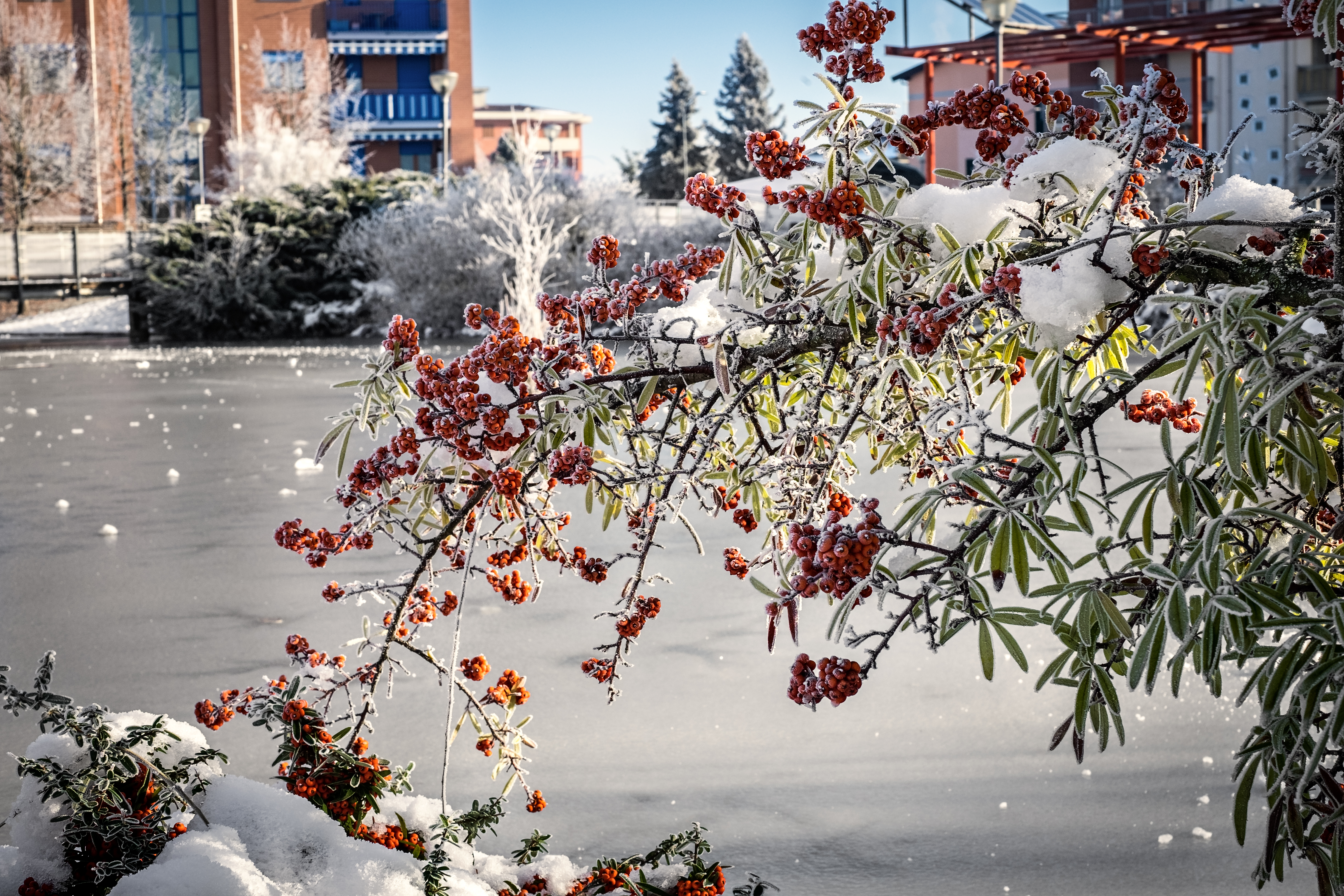 Neve oltre i 20 centimetri sull’alessandrino. Arpa: allerta arancione