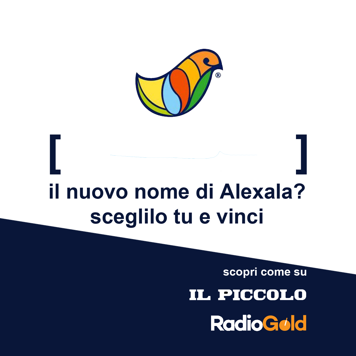 Scegli il nuovo nome di Alexala