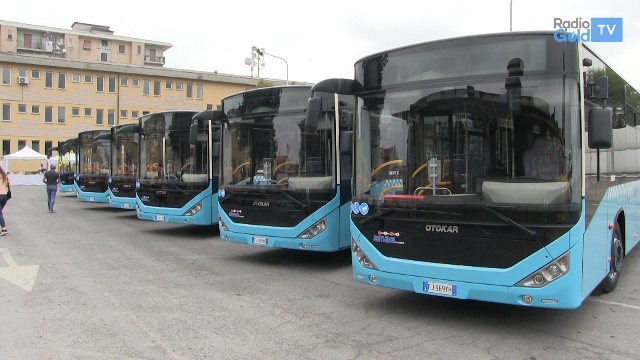 Amag Mobilità: “Perdite ingenti, non saranno coperte entro l’anno”