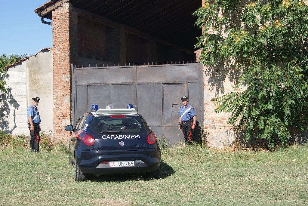 Liberati dai Carabinieri 16 cani senza cibo e acqua da giorni
