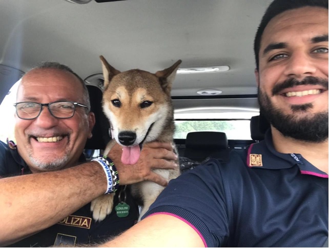 Polstrada di Ovada salva cane LouLou, lasciato in un’area di servizio sull’A26